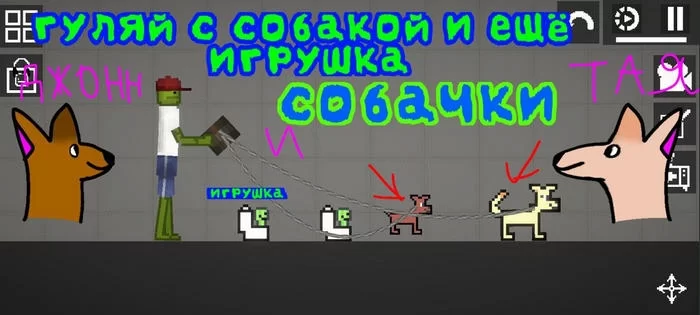 Собаки Тая и Джон с игрушкой